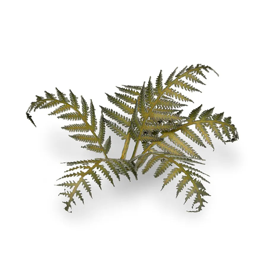 Bracken | Laser Plants-Gamers Grass-Radaddel