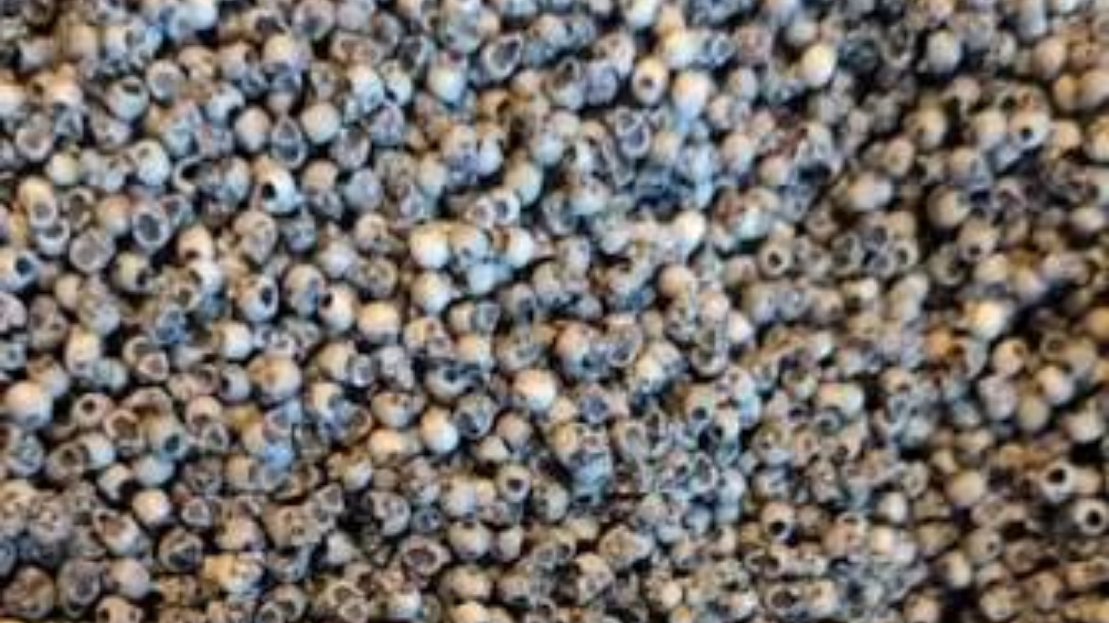 Teaquers Tabletop Basing