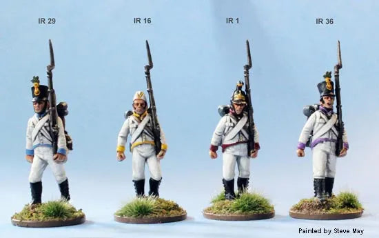 Napoleonic Austrian Infantry-Perry Miniatures-Radaddel