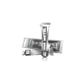 True Metal Silver-AK-Interactive-Radaddel