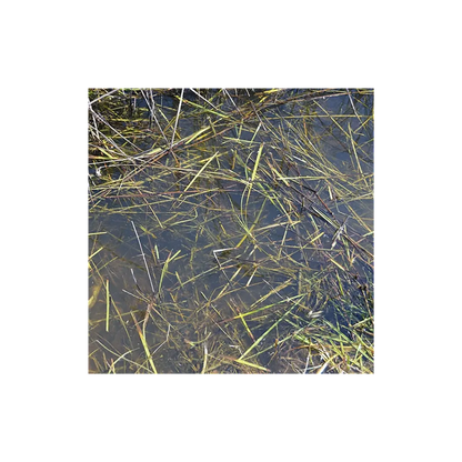 Still Water - 250ml (Acryl)-AK-Interactive-Radaddel