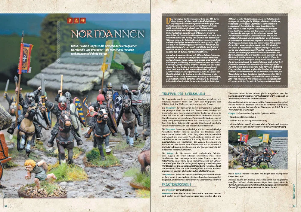 SAGA Ära der Wikinger (deutsch)-Stronghold Terrain-Radaddel