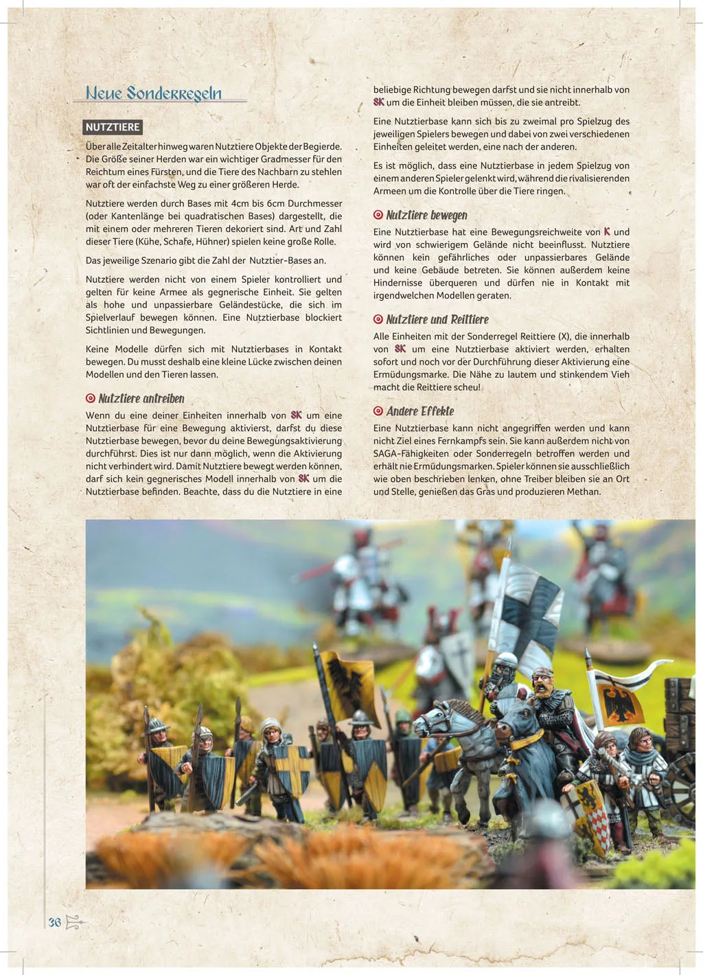 Saga - Buch der Schlachten-Stronghold Terrain-Radaddel