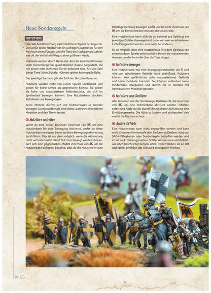 Saga - Buch der Schlachten-Stronghold Terrain-Radaddel