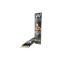 Watercolor Pencil Set Metallics-AK-Interactive-Radaddel