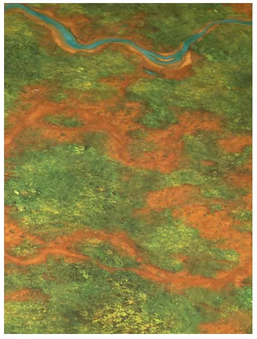 Dschungel-Spielmatte (3'x3')-Freebooter Miniatures-Radaddel