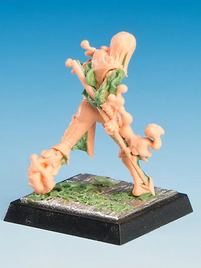 Nebelwölfe | Schatten-Freebooter Miniatures-Radaddel
