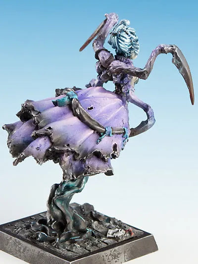 Schwarze Witwe | Schatten-Freebooter Miniatures-Radaddel
