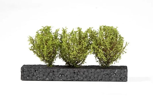 Light Green Bushes-AK-Interactive-Radaddel