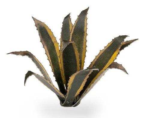 Agave | Laser Plants-Gamers Grass-Radaddel