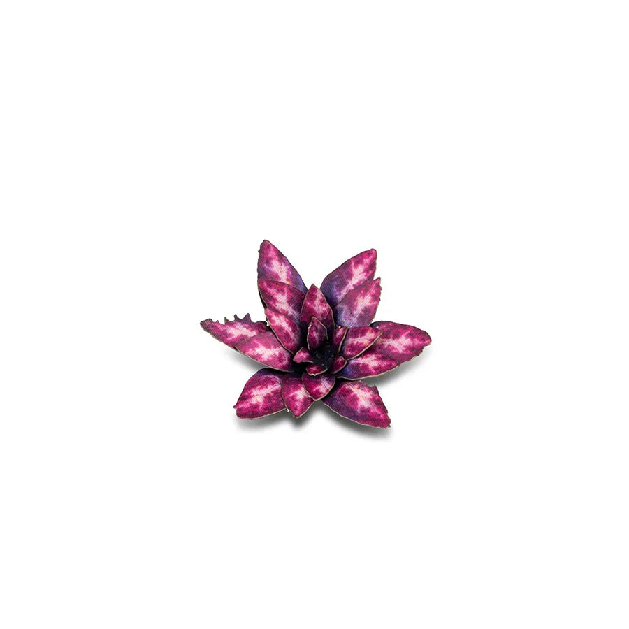 Alien Rosette | Laser Plants-Gamers Grass-Radaddel