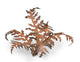 Dry Bracken | Laser Plants-Gamers Grass-Radaddel