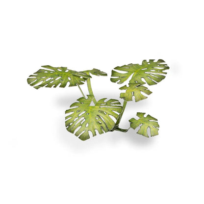 Monstera | Laser Plants-Gamers Grass-Radaddel
