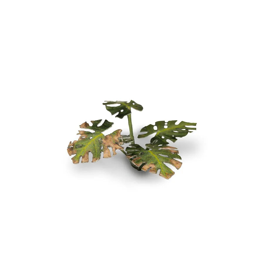 Monstera | Laser Plants-Gamers Grass-Radaddel