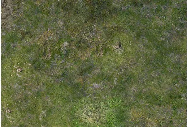Neoprene Mat the Valley 4x6'-PWork Wargames-Radaddel