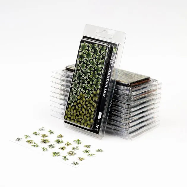Plantain Lily | Laser Plants-Gamers Grass-Radaddel