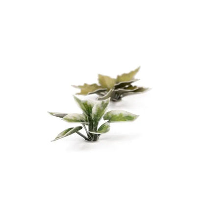 Plantain Lily | Laser Plants-Gamers Grass-Radaddel