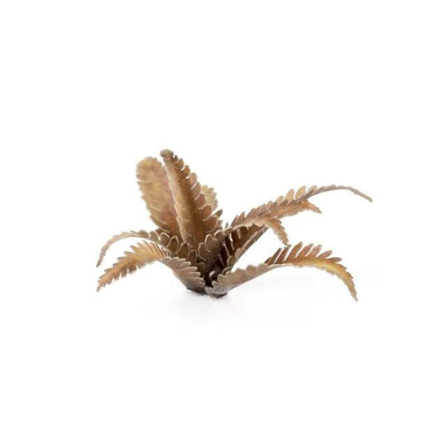 Deer Fern | Laser Plants-Gamers Grass-Radaddel