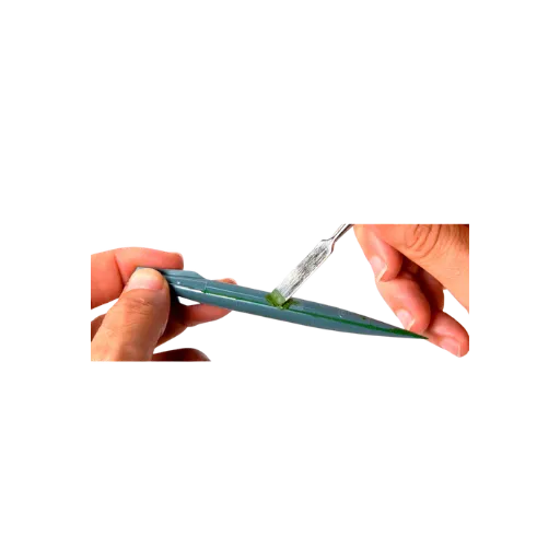 Modelling Green Putty - High Quality-AK-Interactive-Radaddel