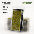 Moss 2mm Tufts-Gamers Grass-Radaddel