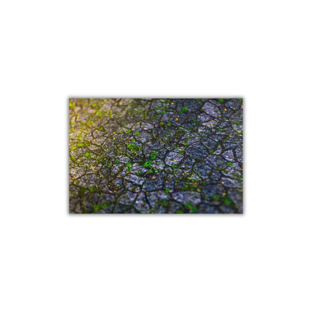 Neoprene Mat 2-sided Keep Yard 44x60''-Playmats.eu-Radaddel