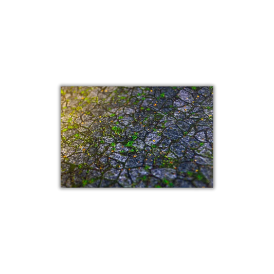 Neoprene Mat 2-sided Keep Yard 44x60''-Playmats.eu-Radaddel