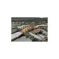 Battle Systems - Bridge-Battle Systems-Radaddel