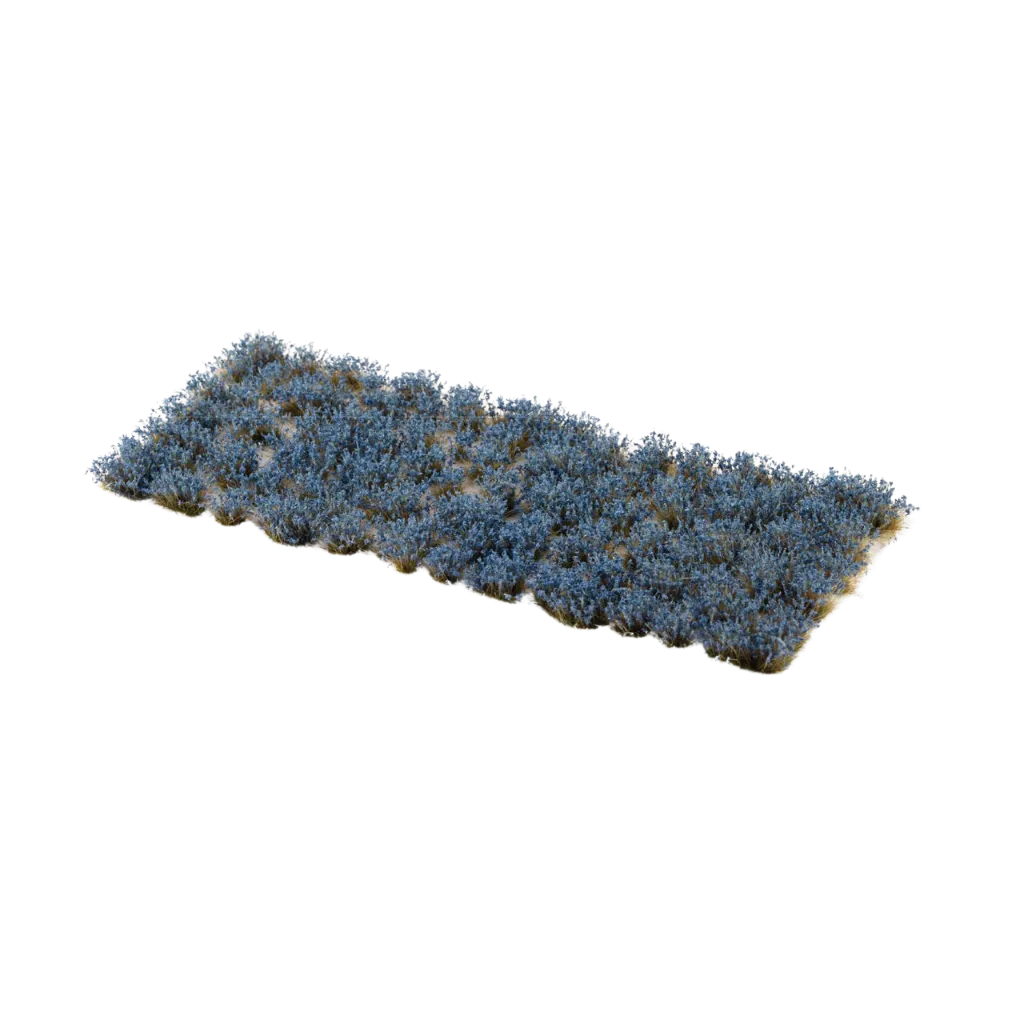 Bluebeard Flowers-Gamers Grass-Radaddel