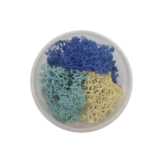 Basetopping: ICE MOOS (140ml) (snow series)-Base X Terrain & Scenery-Radaddel