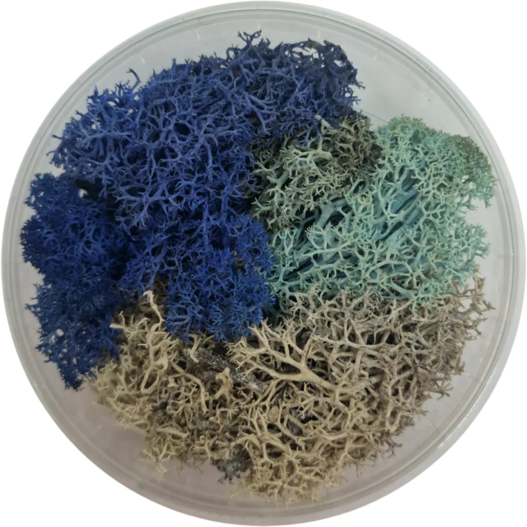 Basetopping: ICE MOOS (140ml) (snow series)-Base X Terrain & Scenery-Radaddel
