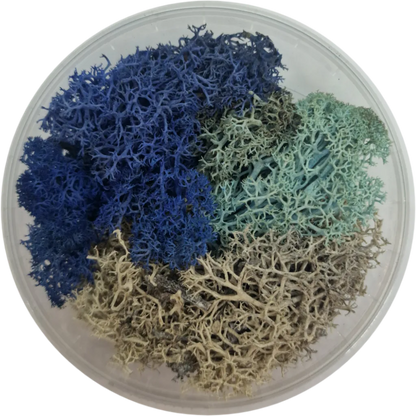 Basetopping: ICE MOOS (140ml) (snow series)-Base X Terrain & Scenery-Radaddel