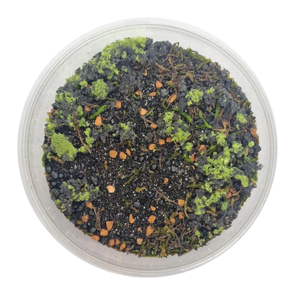 Basetopping: WARGROUND (140ml) (battlefield series)-Base X Terrain & Scenery-Radaddel
