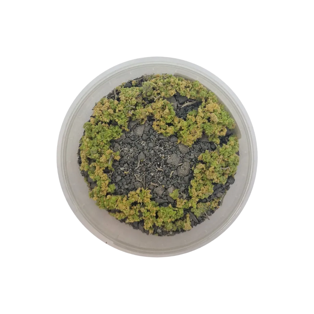 Basetopping: SIEGE GROUND (140ml) (battlefield series)-Base X Terrain & Scenery-Radaddel