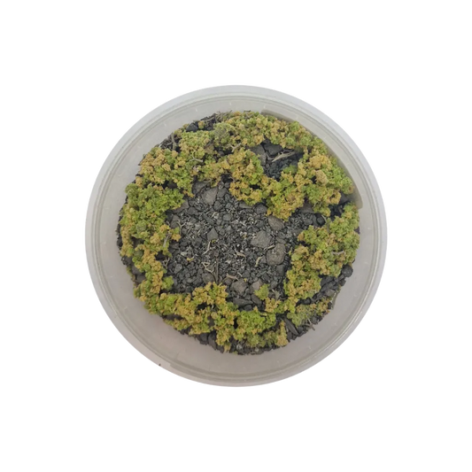 Basetopping: SIEGE GROUND (140ml) (battlefield series)-Base X Terrain & Scenery-Radaddel