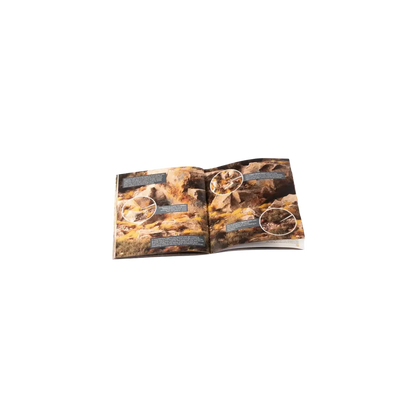 Golden Autumn Glade Basing Box-Gamers Grass-Radaddel