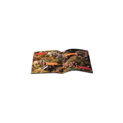 Enchanted Forest Basing Box-Gamers Grass-Radaddel
