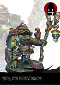 Olda, the Tortle Druid-Pasch Spiele-Radaddel