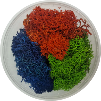 Basetopping: MOOS³ SET AQUAFLORA-Base X Terrain & Scenery-Radaddel