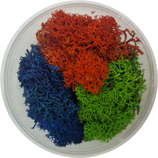 Basetopping: MOOS³ SET AQUAFLORA-Base X Terrain & Scenery-Radaddel