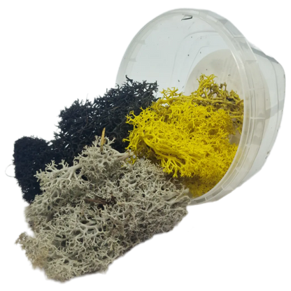 Basetopping: MOOS³ SET SIEGEKRAUT-Base X Terrain & Scenery-Radaddel