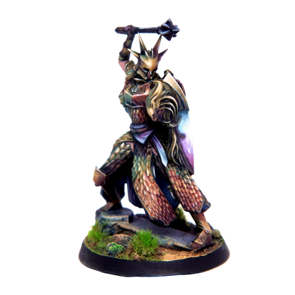 Citadel Guard-Freecompany d.o.o.-Radaddel