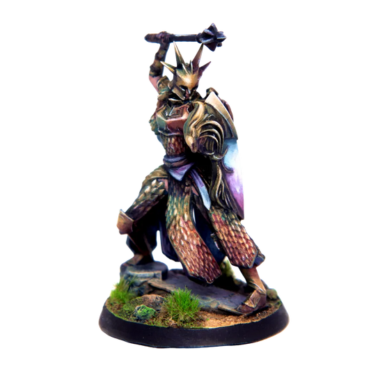 Citadel Guard-Freecompany d.o.o.-Radaddel
