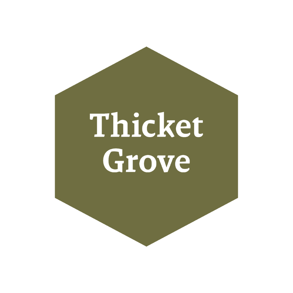 John Blanche: Thicket Grove