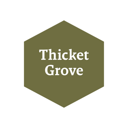 John Blanche: Thicket Grove