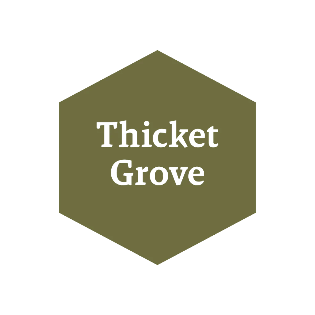 John Blanche: Thicket Grove