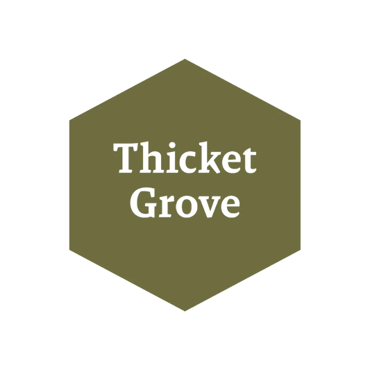 John Blanche: Thicket Grove