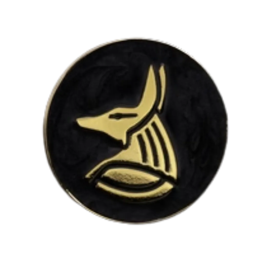 40mm Metal Coin - Anubis-Baron of Dice-Radaddel
